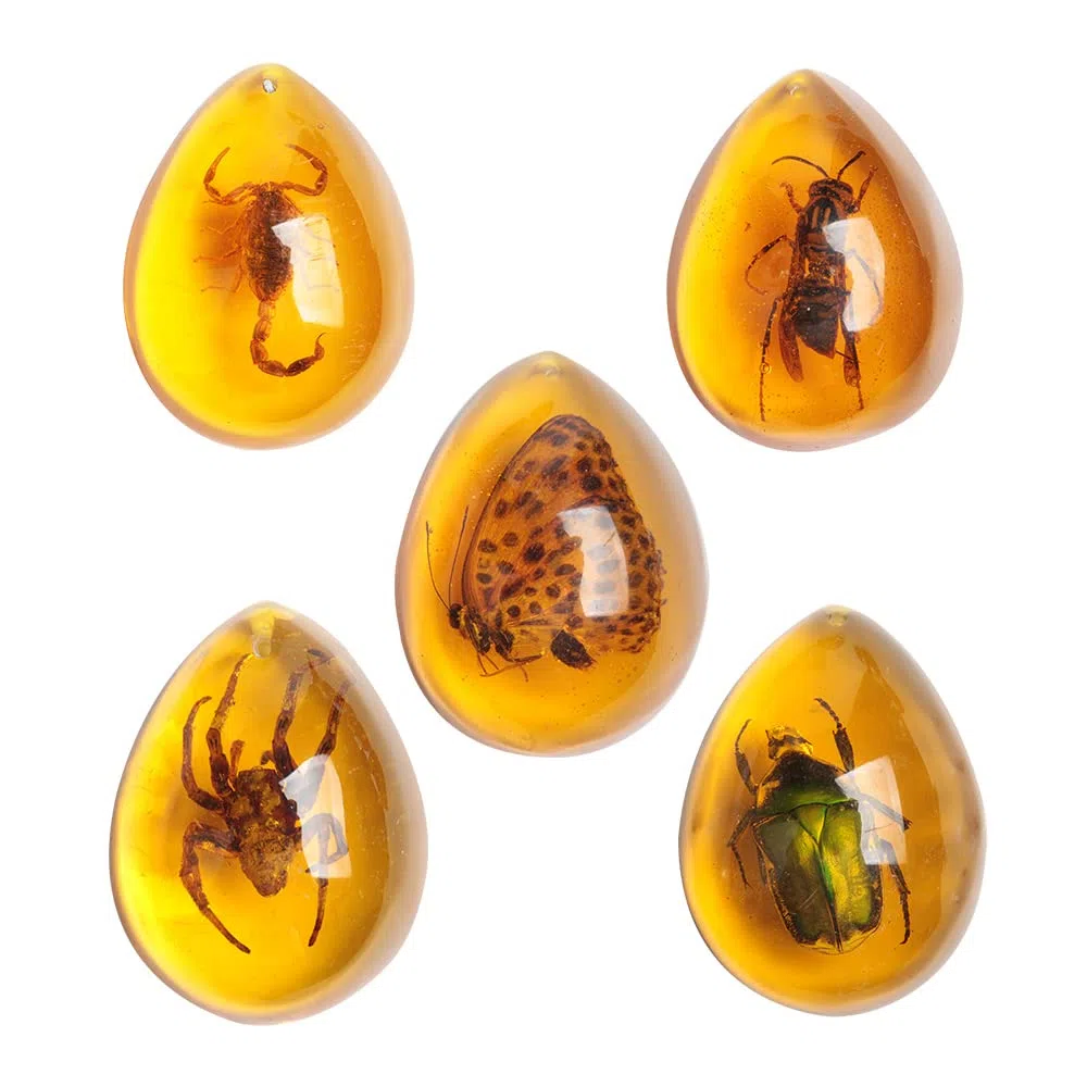 Acxico 5 ciondoli ovali in ambra fossile con campioni di insetti, campioni di cristallo, collezione per la casa, collezione (armatura verde + scorpione + fiore farfalla + vespa + ragno)
