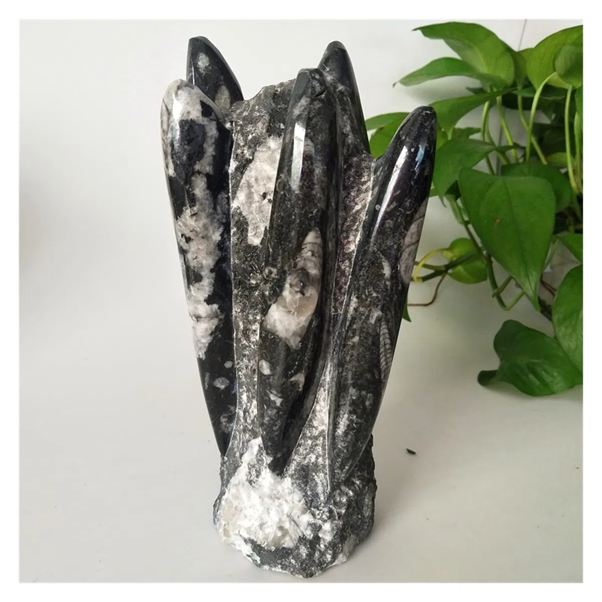 Cristallo Naturale Grezzo Pietre Naturali Cristalli Angolo retto fossile Esemplare Minerale Minerale, Ricerca Decorazione della casa e Pietra didattica