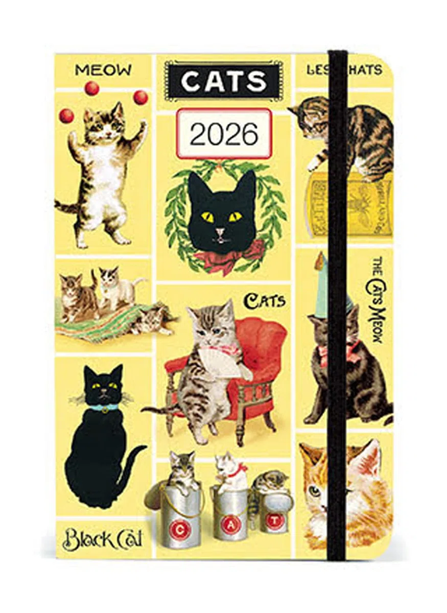 Cavallini AG2026 Agenda Settimanale Gatti Vintage 10,2 x 15,2 cm, Agenda Settimanale 12 Mesi a colpo d'occhio, ideale per fanatici felini, piccolo e carino (AG2026/CAT)
