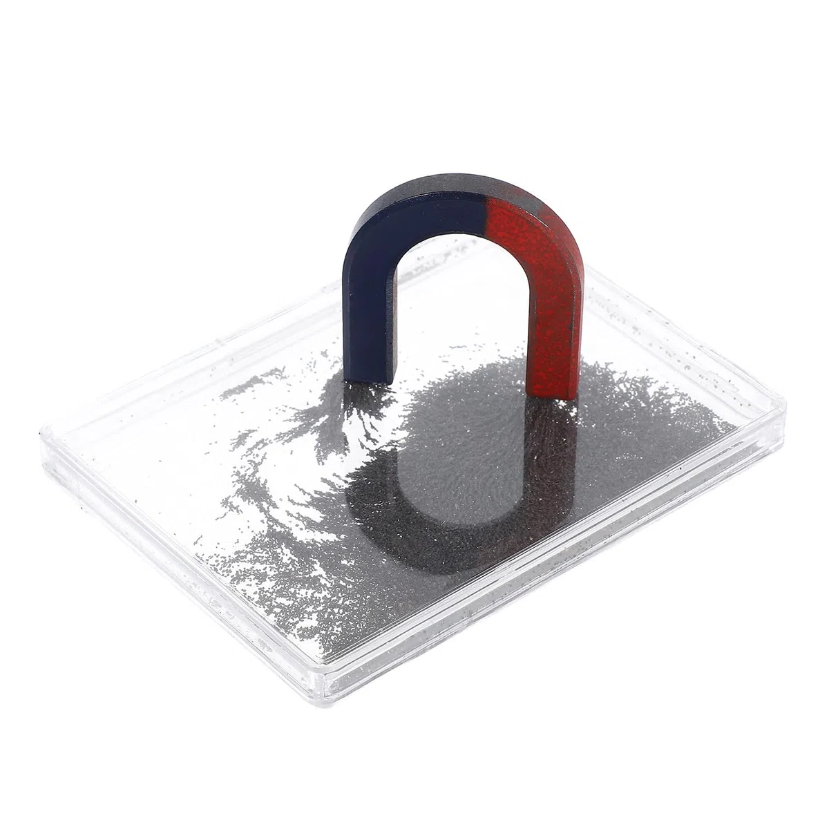 Limatura di Ferro per Esperimenti di Fisica con Scatola in Plastico, Strumento Semplice da Usare e Facile da Pulire per Dimostrazioni del Campo Magnetico in Laboratorio