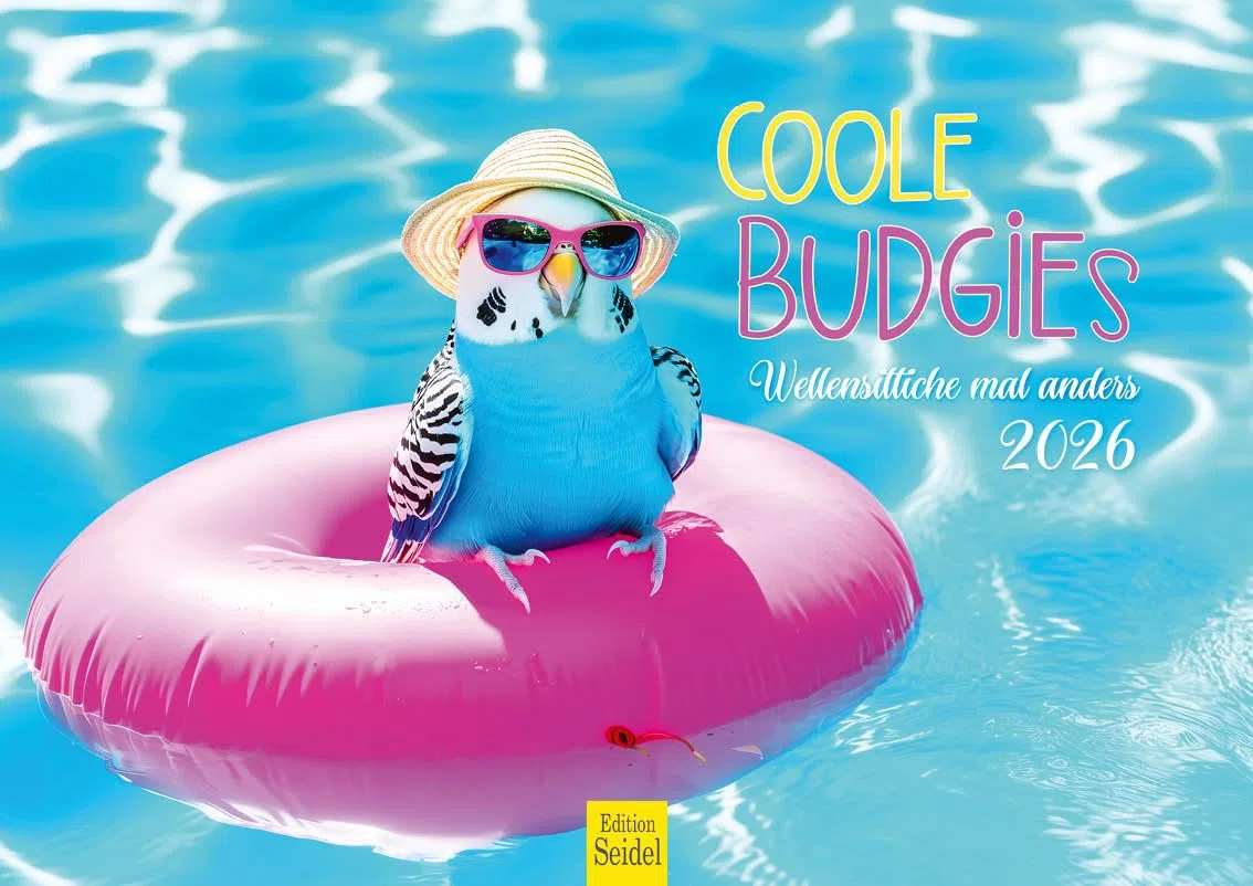 Edition Seidel Calendario Premium Budgies 2026, formato DIN A3, calendario da parete con scritte divertenti, animali, uccelli, pappagallini, umorismo